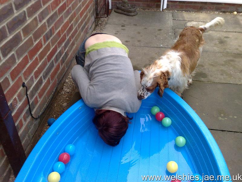 2010-06-26 01.jpg - What's she doing with our paddling pool?